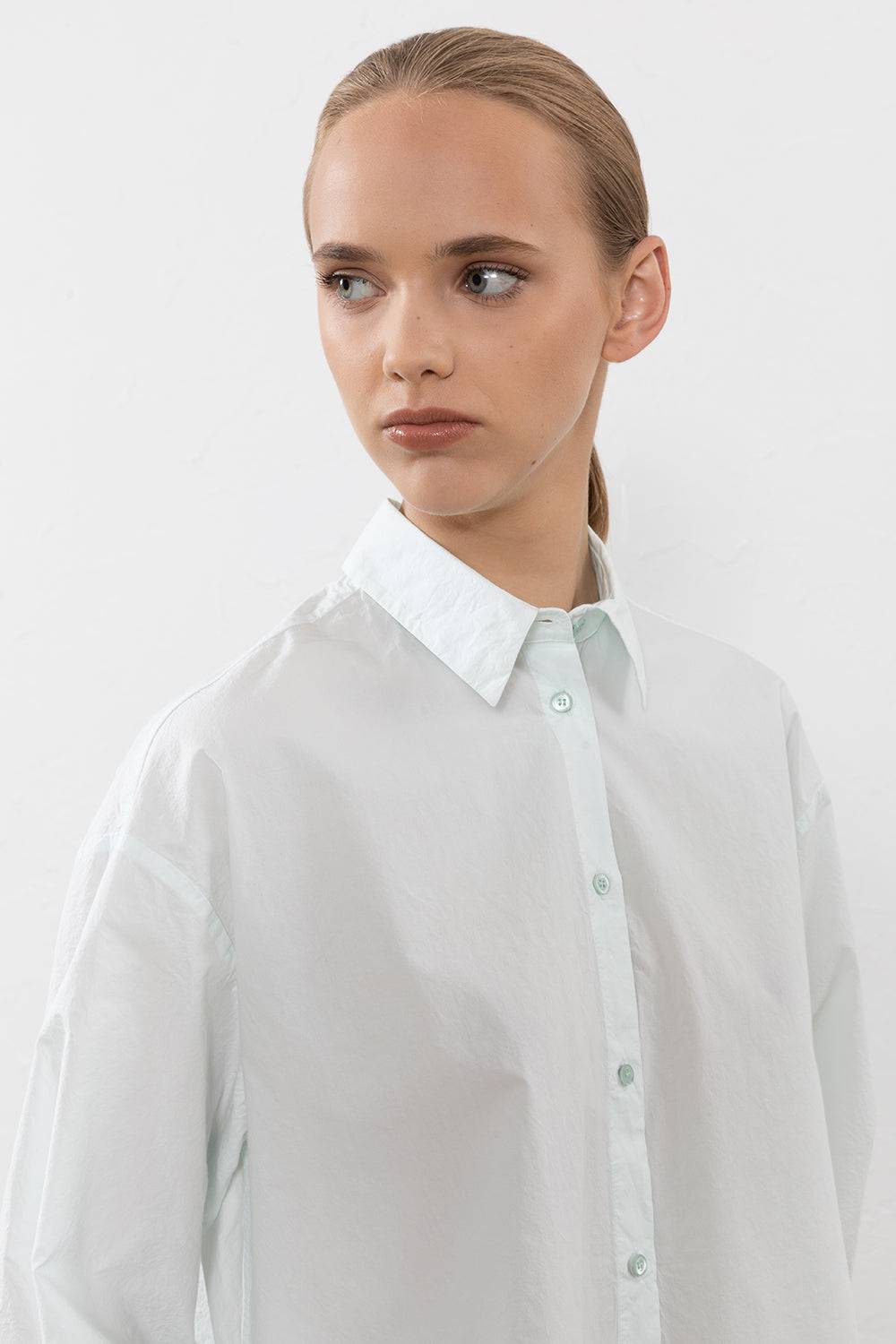 Peserico Camicia in popeline di cotone clean unito In Linea
