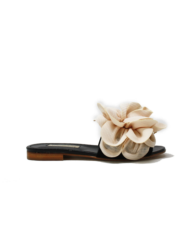Pokemaoke Jolie camelia colore rosa Negozi Online