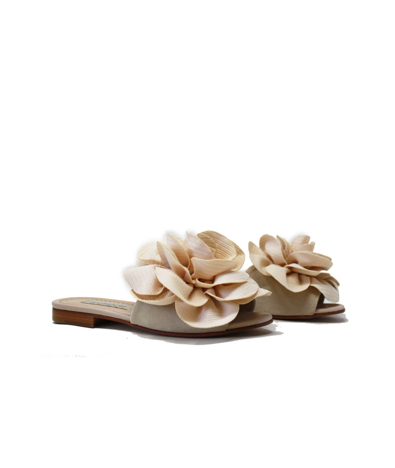 Pokemaoke Jolie camelia colore rosa Negozi Online