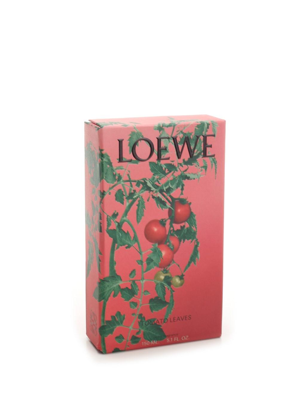 Al Duca D'Aosta Loewe Home Scents Fragranza per ambienti pomodoro Vendite Flash