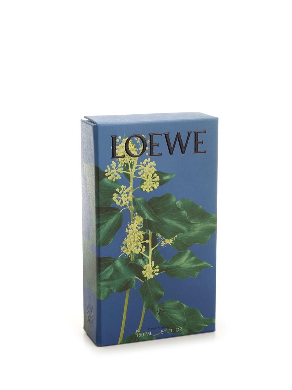 Al Duca D'Aosta Loewe Home Scents Fragranza ambienti edera Negozio