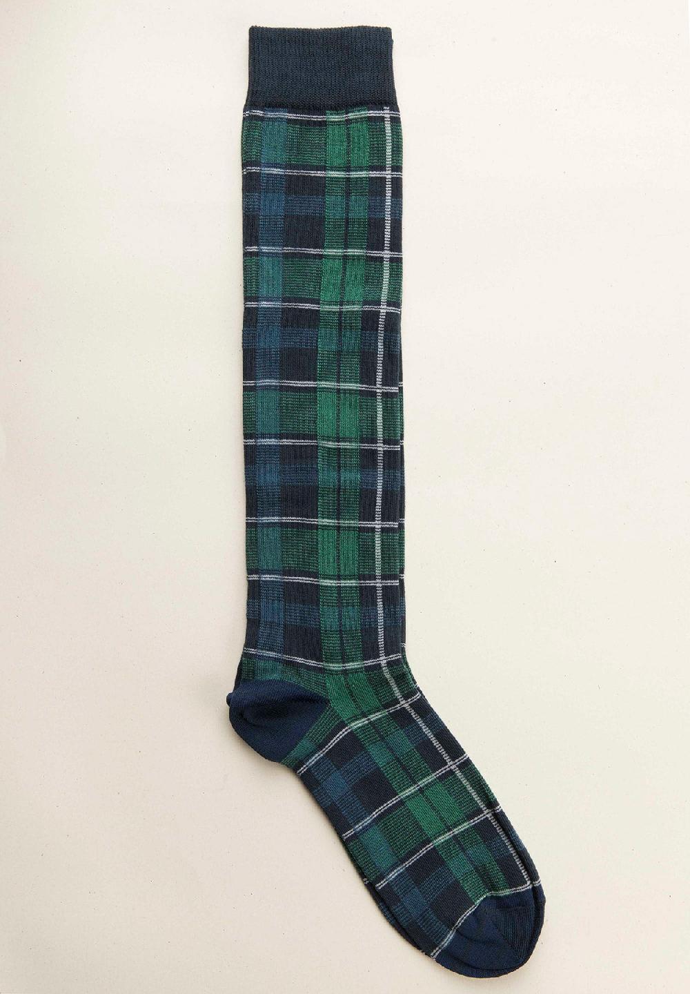 Angelico Calza blu quadri verdi cotone stretch